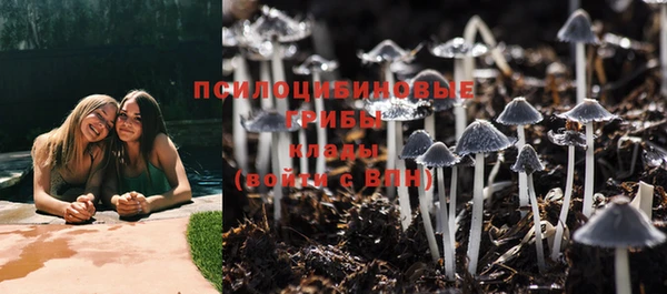 прущая мука Верея