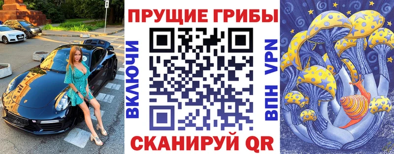 darknet формула  Кедровый  Галлюциногенные грибы Magic Shrooms  закладки 